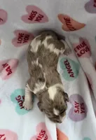 processed/a59cd85d-d859-45b5-8479-fb13e2ad3a3d/listing/09d2f4be-86e5-4a57-be73-316b1adf75d0/172aecf3-ea65-4d1d-b958-c3451e6bb60f