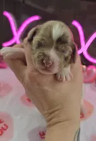 processed/a59cd85d-d859-45b5-8479-fb13e2ad3a3d/listing/09d2f4be-86e5-4a57-be73-316b1adf75d0/8db0cc7f-766c-4f9f-be4b-beb487c94ebd