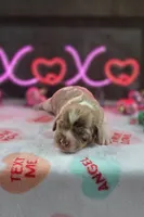 processed/a59cd85d-d859-45b5-8479-fb13e2ad3a3d/listing/09d2f4be-86e5-4a57-be73-316b1adf75d0/9cc1de7e-e202-443e-a37c-8e1aa49c0b21