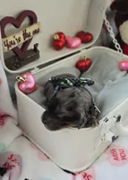 processed/a59cd85d-d859-45b5-8479-fb13e2ad3a3d/listing/8490b68e-b3de-48a6-83f6-c78be5bca224/611b93cb-9a17-4797-9a02-99918d63d459