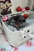 processed/a59cd85d-d859-45b5-8479-fb13e2ad3a3d/listing/8490b68e-b3de-48a6-83f6-c78be5bca224/b4420b9b-949a-4276-9116-5e3195025f04