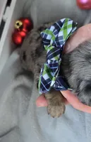 processed/a59cd85d-d859-45b5-8479-fb13e2ad3a3d/listing/8490b68e-b3de-48a6-83f6-c78be5bca224/b503a5de-862e-4058-8ddd-5caf8db309de