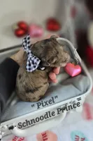 processed/a59cd85d-d859-45b5-8479-fb13e2ad3a3d/listing/b17bf524-af62-439e-8c74-5c4968e1d46d/95dbeb2f-4df5-49b5-b194-aaffc8e10128