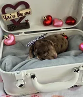 processed/a59cd85d-d859-45b5-8479-fb13e2ad3a3d/listing/b17bf524-af62-439e-8c74-5c4968e1d46d/9ab8856f-86a0-4e28-b377-796d89673805