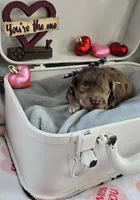 processed/a59cd85d-d859-45b5-8479-fb13e2ad3a3d/listing/b17bf524-af62-439e-8c74-5c4968e1d46d/a3e50d08-b3ef-4211-8582-25bfdebb5805