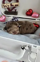 processed/a59cd85d-d859-45b5-8479-fb13e2ad3a3d/listing/b17bf524-af62-439e-8c74-5c4968e1d46d/fb7474d1-8d5b-47ba-91b5-b11b882df0ab