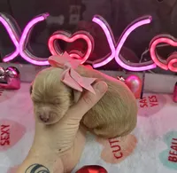 processed/a59cd85d-d859-45b5-8479-fb13e2ad3a3d/listing/cc637c12-4080-457f-bc0a-39f623abbc0f/0598a149-134c-4bab-86e1-fa04823254b3