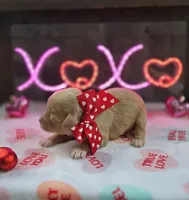 processed/a59cd85d-d859-45b5-8479-fb13e2ad3a3d/listing/cc637c12-4080-457f-bc0a-39f623abbc0f/4da02f1d-afd5-4a47-a7b3-a4578eeca535