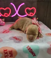 processed/a59cd85d-d859-45b5-8479-fb13e2ad3a3d/listing/cc637c12-4080-457f-bc0a-39f623abbc0f/a6ea45c0-0c2a-43bd-b895-2ad8d3e97e72