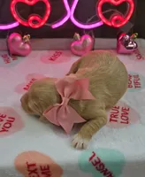 processed/a59cd85d-d859-45b5-8479-fb13e2ad3a3d/listing/cc637c12-4080-457f-bc0a-39f623abbc0f/b63486e1-50a6-4840-baa1-a29aa1238c2d