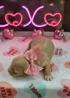 processed/a59cd85d-d859-45b5-8479-fb13e2ad3a3d/listing/cc637c12-4080-457f-bc0a-39f623abbc0f/f00253e3-5895-4165-a4e9-fd6021a95f58