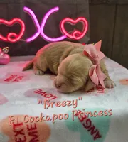 processed/a59cd85d-d859-45b5-8479-fb13e2ad3a3d/listing/cc637c12-4080-457f-bc0a-39f623abbc0f/f2b34031-463a-4623-bf7d-6d06031516c3