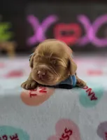 processed/a59cd85d-d859-45b5-8479-fb13e2ad3a3d/listing/ede41a2f-ff8f-4724-8991-2878f44c3e11/09cb58ef-a965-453e-8807-1aed5b8e0809