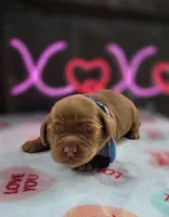 processed/a59cd85d-d859-45b5-8479-fb13e2ad3a3d/listing/ede41a2f-ff8f-4724-8991-2878f44c3e11/ef8b8cb3-d623-4421-97f4-cbe5535c489a