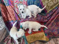 processed/a59e33a9-6feb-4357-8018-91cd6eee05da/facility/bbb8e8f8-17f8-414f-b37b-b4a85a63fd18