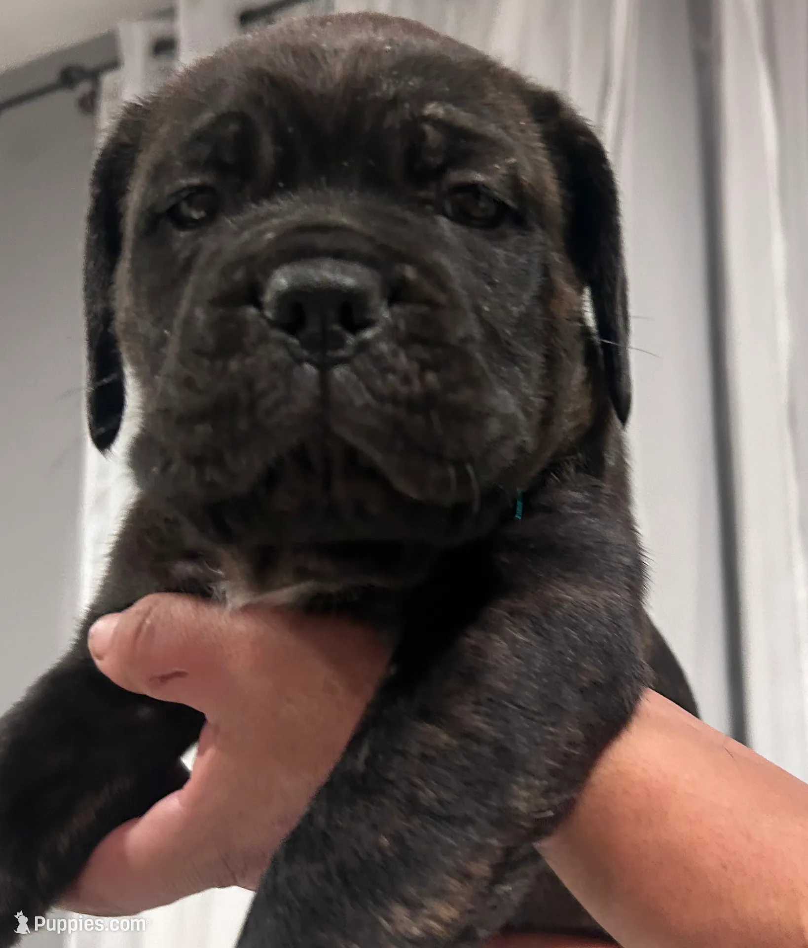 processed/a59f7aa5-0829-469d-8410-583b727e31c1/listing/11ecd112-dfd8-40f1-8599-3e65750cae51/32046195-6c66-4998-be10-5fc04cd318dc