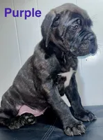 processed/a59f7aa5-0829-469d-8410-583b727e31c1/listing/11ecd112-dfd8-40f1-8599-3e65750cae51/c22ec196-86bf-4cc8-8ca0-a6c61866dfcc