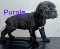 processed/a59f7aa5-0829-469d-8410-583b727e31c1/listing/11ecd112-dfd8-40f1-8599-3e65750cae51/f1894a3c-5fab-400a-bb55-52b101183a24