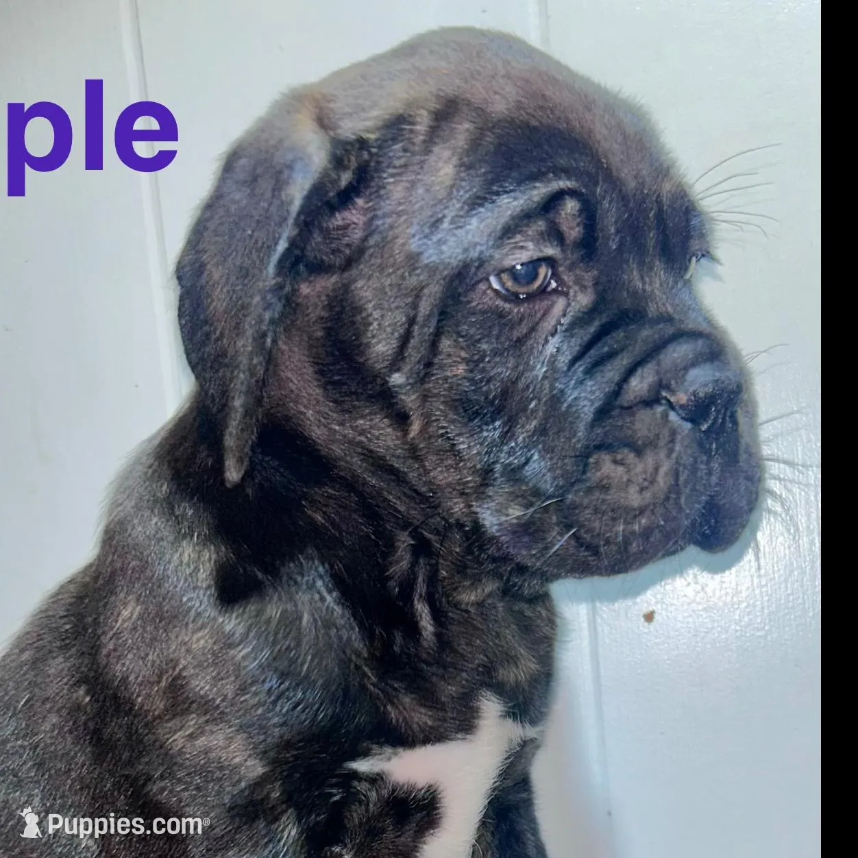 processed/a59f7aa5-0829-469d-8410-583b727e31c1/listing/1608603f-6d1d-4bcf-afbd-d62a0cb746b0/abaf8749-1c8e-4477-8fcb-1d6bf03d22aa