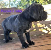 processed/a59f7aa5-0829-469d-8410-583b727e31c1/listing/1608603f-6d1d-4bcf-afbd-d62a0cb746b0/b7319fc3-dd65-4fa9-9309-7e47f22fb6c3