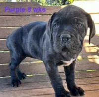 processed/a59f7aa5-0829-469d-8410-583b727e31c1/listing/1608603f-6d1d-4bcf-afbd-d62a0cb746b0/e98acf20-3cf1-479c-a4c2-100012256dbf