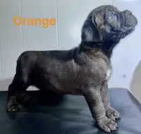 processed/a59f7aa5-0829-469d-8410-583b727e31c1/listing/17d8a013-759f-48b7-b68b-019e48ec619a/c8c02145-ca8d-4226-9258-ccdd825650dc