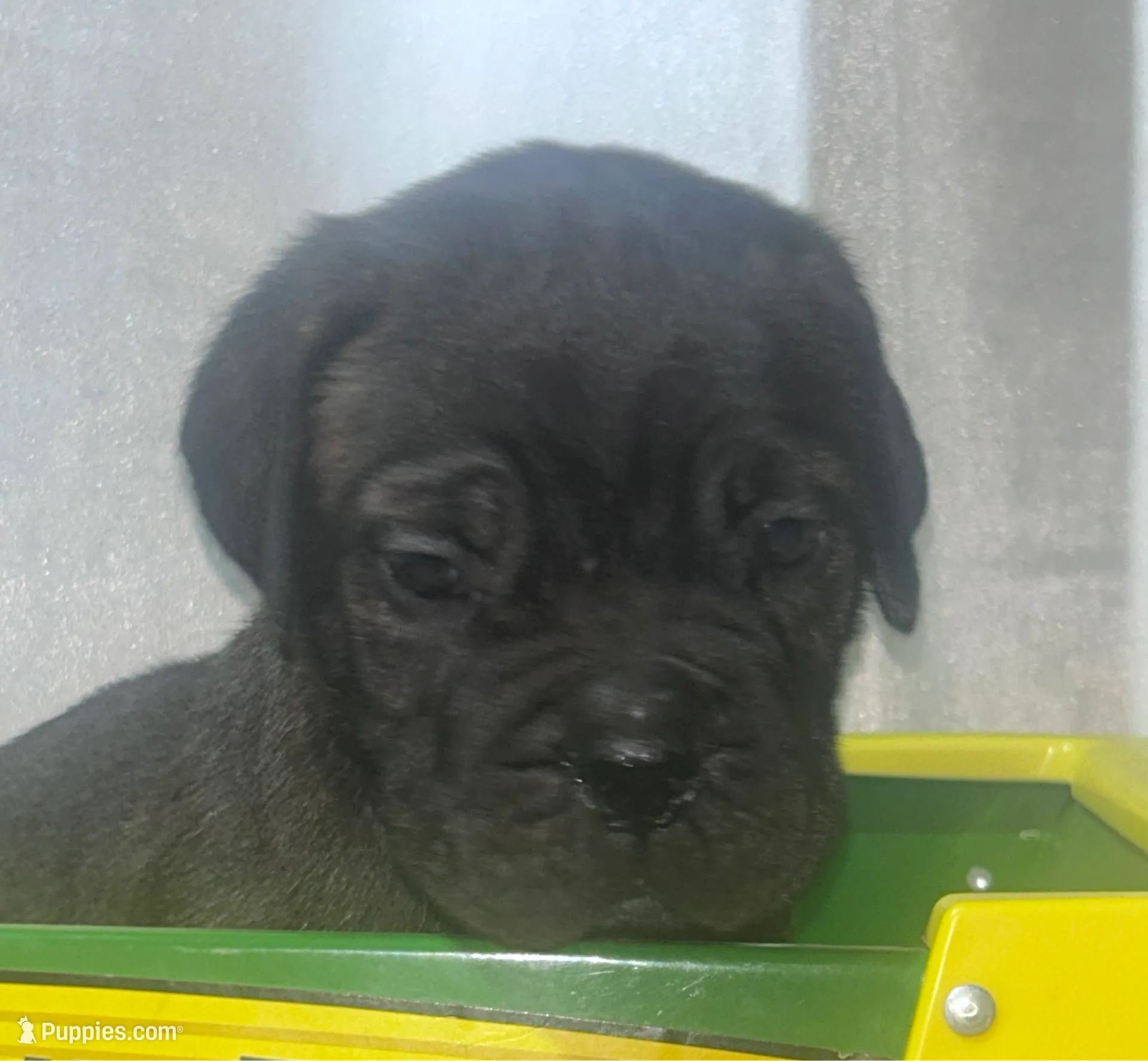 processed/a59f7aa5-0829-469d-8410-583b727e31c1/listing/17d8a013-759f-48b7-b68b-019e48ec619a/c995570e-c74c-4ac2-8023-bea871725c1b