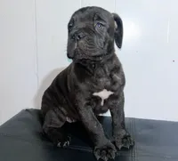 processed/a59f7aa5-0829-469d-8410-583b727e31c1/listing/8aada8d7-5324-4ed4-a1d7-bc553504d165/4fa46cfa-512a-459f-ae60-2a135af8173c