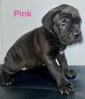 processed/a59f7aa5-0829-469d-8410-583b727e31c1/listing/8aada8d7-5324-4ed4-a1d7-bc553504d165/5b431dc8-3889-4d32-80f0-47af1d278068