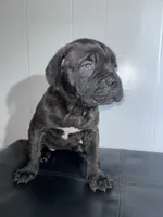 processed/a59f7aa5-0829-469d-8410-583b727e31c1/listing/8aada8d7-5324-4ed4-a1d7-bc553504d165/9fc9cc4c-ee38-47da-aafc-f19e19c5f8c1