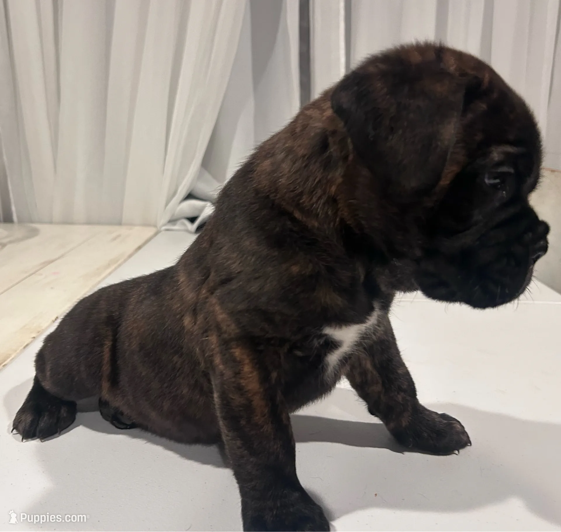 processed/a59f7aa5-0829-469d-8410-583b727e31c1/listing/b00840e8-6ee7-4b1b-b2fd-c0b5ba837622/ab56450a-98dd-4f4c-bdf2-dc9a3ad7eada