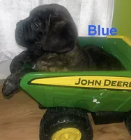 processed/a59f7aa5-0829-469d-8410-583b727e31c1/listing/b00840e8-6ee7-4b1b-b2fd-c0b5ba837622/ec0af929-ab5a-4a21-adc5-d2b55b16c72a