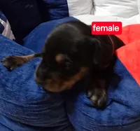 processed/a5a16bfa-f2ff-4250-b99a-57d313f7375f/facility/1c08f667-2416-4f38-a7c4-6622371f33ef