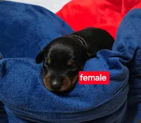 processed/a5a16bfa-f2ff-4250-b99a-57d313f7375f/facility/3da9411f-63b3-404a-b5a9-927eccb7abdd