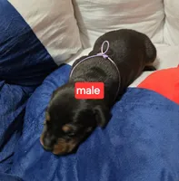 processed/a5a16bfa-f2ff-4250-b99a-57d313f7375f/facility/5fcc9b6a-1875-4520-b2df-20226b19081b