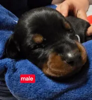 processed/a5a16bfa-f2ff-4250-b99a-57d313f7375f/facility/676e13b8-a2c5-436d-af52-38eeec31ab41