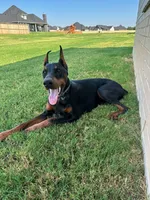 processed/a5a16bfa-f2ff-4250-b99a-57d313f7375f/facility/d4946493-1a23-4652-a97c-a3285e121062