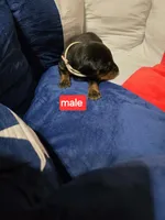 processed/a5a16bfa-f2ff-4250-b99a-57d313f7375f/facility/de3d4de9-90de-4a8a-af7f-43b64a7e3cce