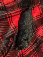 Ollie, a male Goldendoodle and Miniature Goldendoodle for sale in Pensacola, FL – 2 of 2