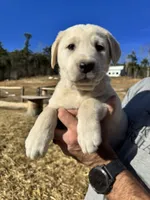 processed/a5af1285-2a47-44da-b2b9-e003327a65b2/listing/69bc4445-75eb-4866-ae22-3ba5ff7d8149/3a9c0149-c107-4f04-9184-753ed418030a