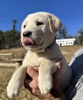 processed/a5af1285-2a47-44da-b2b9-e003327a65b2/listing/69bc4445-75eb-4866-ae22-3ba5ff7d8149/4ecc042f-e307-46ad-90e3-c23d4c747602