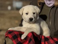 processed/a5af1285-2a47-44da-b2b9-e003327a65b2/listing/69bc4445-75eb-4866-ae22-3ba5ff7d8149/563c9f23-5923-4716-bc23-bcb0c316dc59