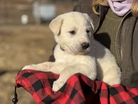 processed/a5af1285-2a47-44da-b2b9-e003327a65b2/listing/69bc4445-75eb-4866-ae22-3ba5ff7d8149/7550be4c-e5a3-4e63-9a31-e114ad6b9e14