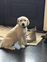 processed/a5af1285-2a47-44da-b2b9-e003327a65b2/listing/69bc4445-75eb-4866-ae22-3ba5ff7d8149/76e1afd6-78dc-4c10-962b-b3087c3942a9