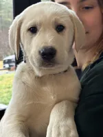 processed/a5af1285-2a47-44da-b2b9-e003327a65b2/listing/69bc4445-75eb-4866-ae22-3ba5ff7d8149/80ed00dd-1c41-4e0b-882d-ccbe050e578a