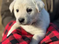 processed/a5af1285-2a47-44da-b2b9-e003327a65b2/listing/bbd22a3e-12b9-4066-9e01-33192fe1a51d/028c45e2-bac9-46e2-afcd-75e98d98933c