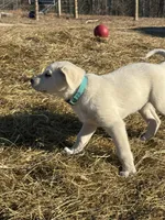 processed/a5af1285-2a47-44da-b2b9-e003327a65b2/listing/bbd22a3e-12b9-4066-9e01-33192fe1a51d/06d61517-8508-4ab9-806a-7e68987e2406