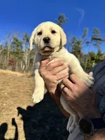 processed/a5af1285-2a47-44da-b2b9-e003327a65b2/listing/bbd22a3e-12b9-4066-9e01-33192fe1a51d/64afa28d-bb0e-404e-8958-cde34a03c8c7