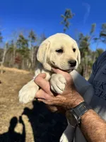 processed/a5af1285-2a47-44da-b2b9-e003327a65b2/listing/bbd22a3e-12b9-4066-9e01-33192fe1a51d/6b1f9805-ad1e-4f2e-ba94-a13d1d30bb62