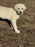 processed/a5af1285-2a47-44da-b2b9-e003327a65b2/listing/bbd22a3e-12b9-4066-9e01-33192fe1a51d/78bd2d87-4e24-47ed-99c7-546c3b94d604